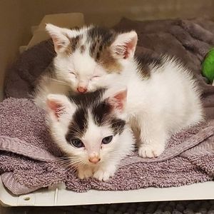 Meet your Posher, Brett